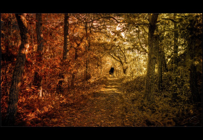 HDR фотографии Janne Olkkonen