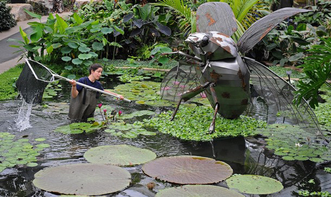 Кью-Гарденс-летний Фестиваль (Kew Gardens 'Summer Festival' ) в Лондоне, Англия, 27 мая 2010 года.