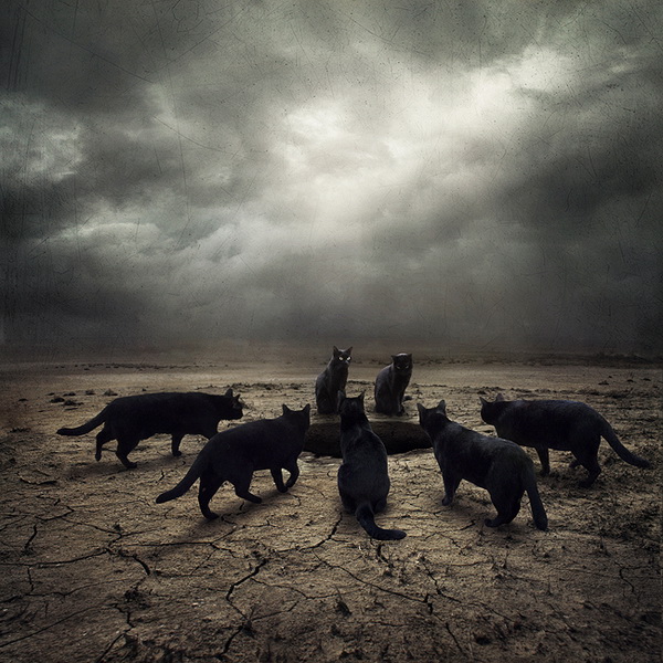 (600x600, 167Kb)