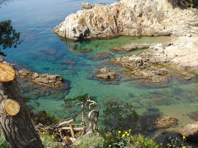 Прогулка берегом моря в сад Cap Roig (696x522, 101Kb)