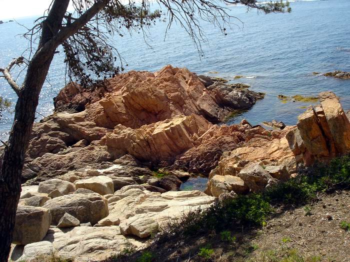 Прогулка берегом моря в сад Cap Roig (700x525, 116Kb)