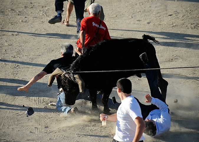 Ежегодный 'Vacas das Cordas' ('Корова на веревке')  праздник в центре города Понте-де-Лима, Португалия, 2 июня 2010 года.