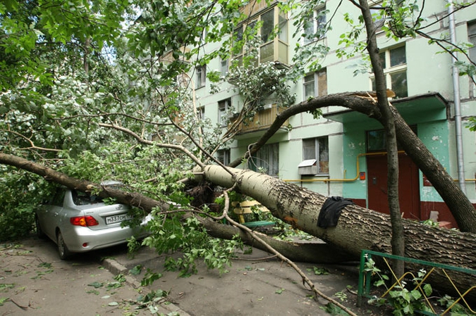 Ураган устроил в Москве лесоповал, 13 июня 2010 года.