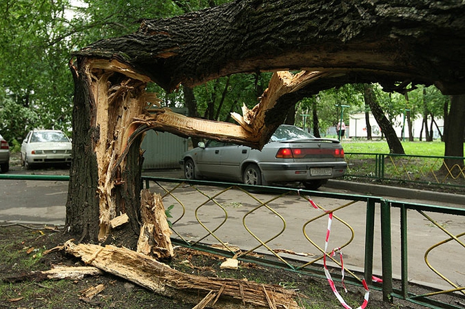 Ураган устроил в Москве лесоповал, 13 июня 2010 года.