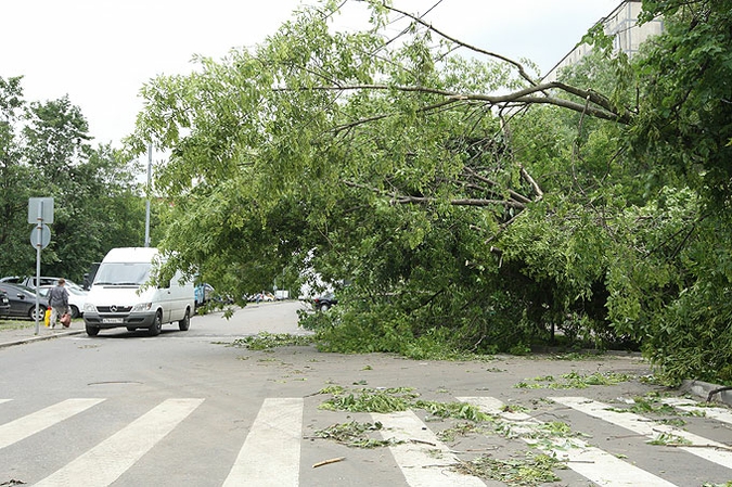 Ураган устроил в Москве лесоповал, 13 июня 2010 года.