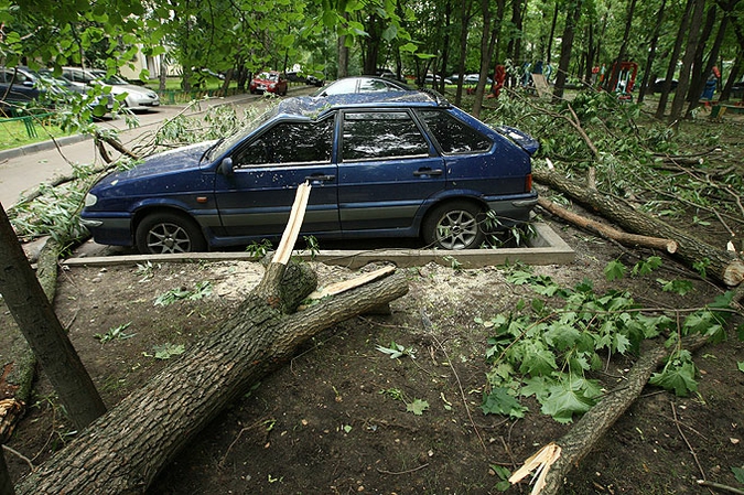 Ураган устроил в Москве лесоповал, 13 июня 2010 года.