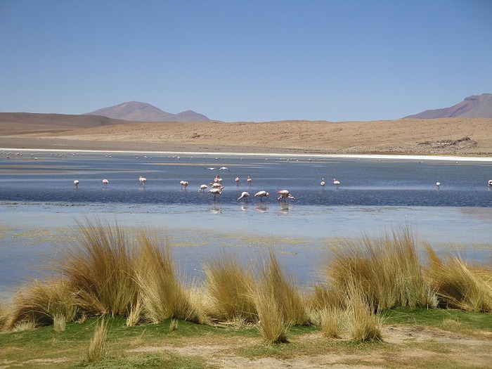 Солончак Уюни - Salar de Uyuni - Боливия 64890