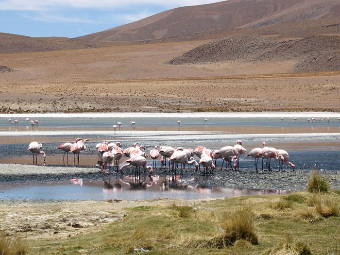 Солончак Уюни - Salar de Uyuni - Боливия 56717