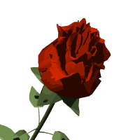  (200x200, 34Kb)