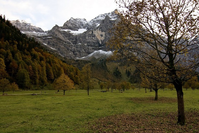 Альпийский парк «Карвендель» 15559