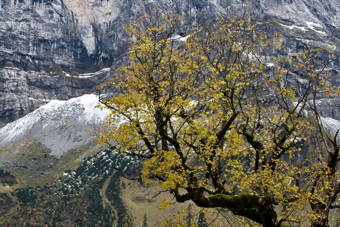 Альпийский парк «Карвендель» 72307