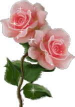 белая роза (150x215, 23 Kb)