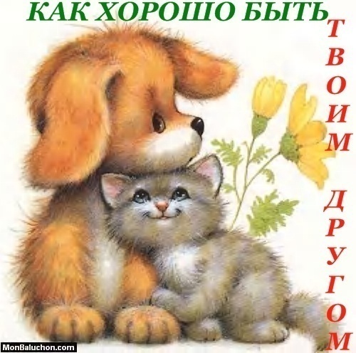http://img1.liveinternet.ru/images/attach/c/1//62/319/62319733_58886773_horosho_buyt_tvoim_drugom.jpg