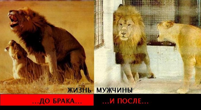 Как в жизни (700x385, 66Kb)