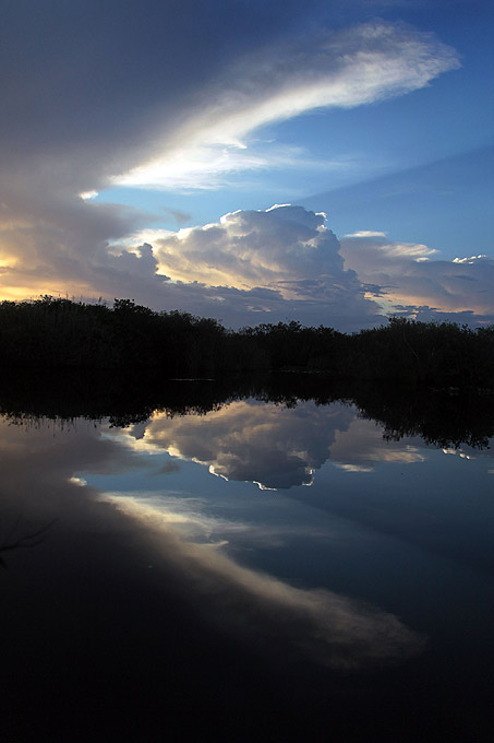 Исчезающие крокодилы и аллигаторы спрятались в водах озера Окичоби