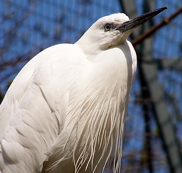 Зоологический сад в Лейпциге (Zoologischer Garten, Leipzig ) 20127