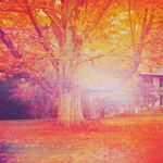  (150x150, 55Kb)