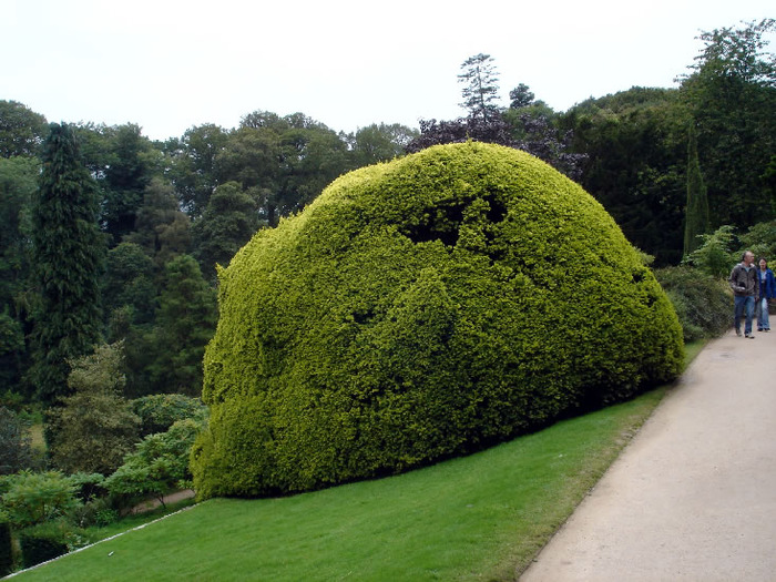 Замок Powis Castle, графство Поуис. 86125