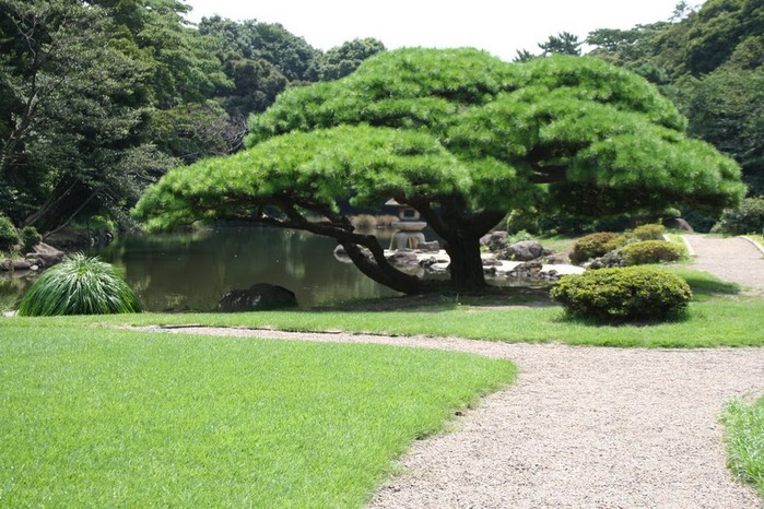 Shinjuku Gyoen - Парк Синдзюку 12505