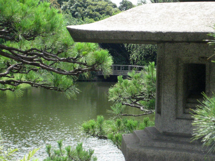 Shinjuku Gyoen - Парк Синдзюку 36376