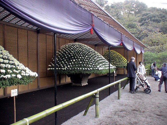 Shinjuku Gyoen - Парк Синдзюку 75651