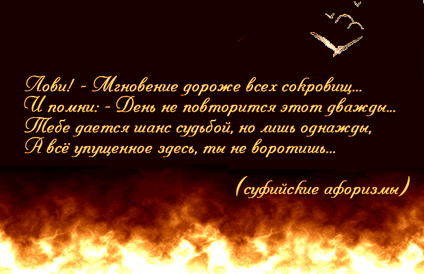 дешево шторы галина воленберг как свеча сгорает наша жмзнь для