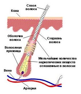 ужасная диета