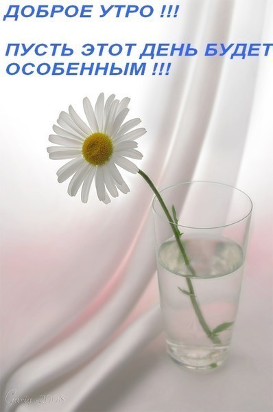 http://img1.liveinternet.ru/images/attach/c/1/59/252/59252679_1274306777_54850321_44912551__1A8871.jpg