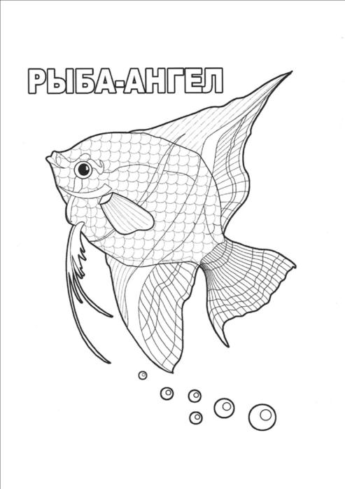 Рыбки аквариумные раскраски Рыбки аквариумные раскраски