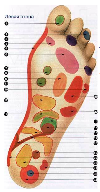 Самомассаж стоп (по точкам)