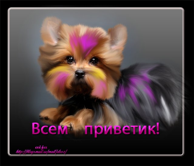 http://img1.liveinternet.ru/images/attach/c/1/61/484/61484111_e754d491225f.jpg