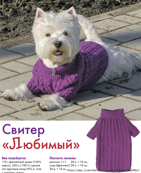 Схема свитер для йорка