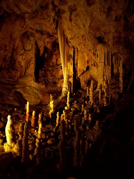 Медведь Пещера в селе Chiscau - Румыния - Bears' Cave, Chiscau, Romania, 98807