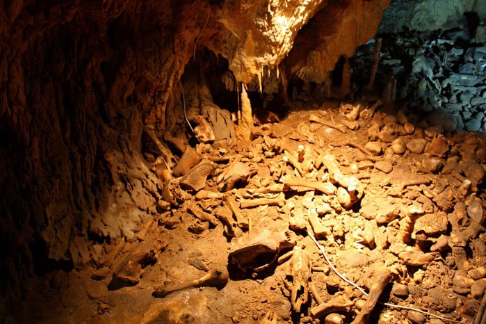 Медведь Пещера в селе Chiscau - Румыния - Bears' Cave, Chiscau, Romania, 47979