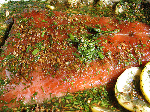 Малосольный лосось в апельсинах 4278666_2377402121_0eaac9b6bc_Curing_Salmon_M (500x375, 265Kb)