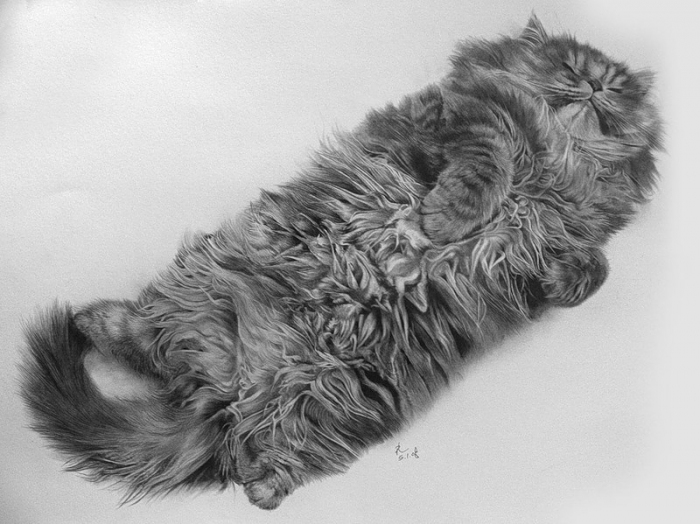 Кошки в карандашных рисунках Пола Лунга. 3518263_2714535_0_22a0e_ffc0cbd9_xl1 (700x524, 217Kb)