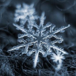 0_3e1f1_72818a8c_XL (320x320, 68Kb)