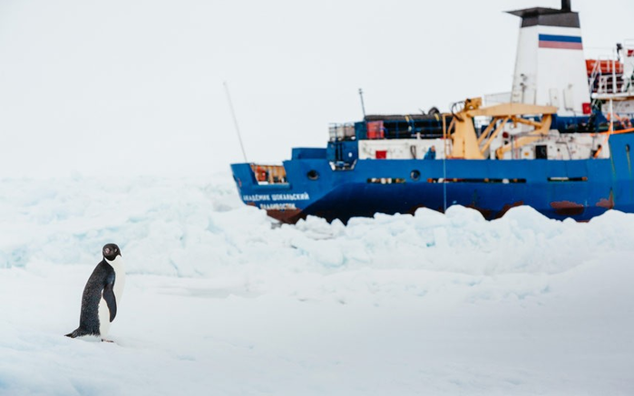 Академик Шокальский попал в ловушку в Антарктиде
