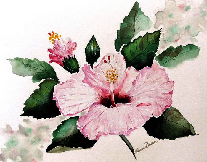 pink-hibiscus-karin-best (700x548, 140Kb)