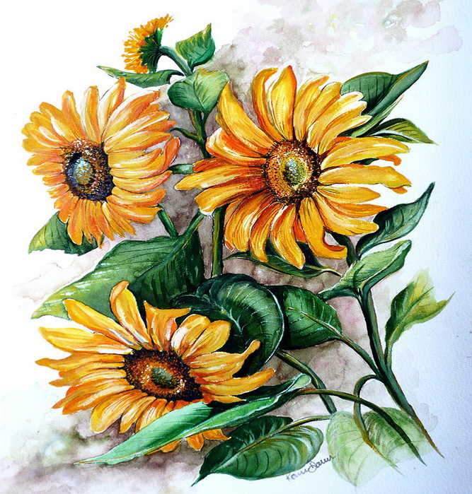 sunflowers-karin-best (667x700, 240Kb)