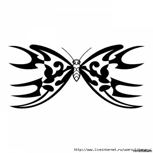 batterfly (25) (500x500, 55Kb)