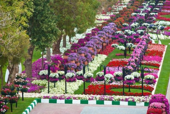 Райский сад Аль-Айн7а (700x467, 318Kb)