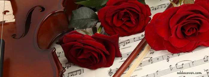 5145824_15729violinredroses (700x259, 220Kb)