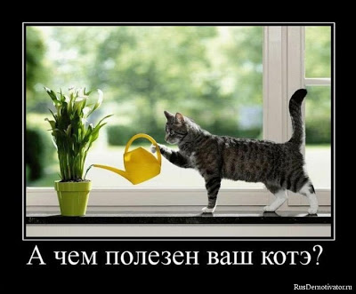 (400x331, 33Kb)