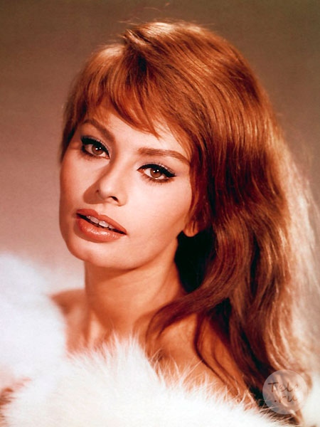 sophia-loren_2 (450x600, 92Kb)