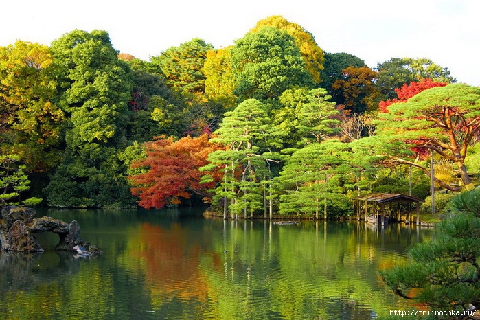 Сады Японии