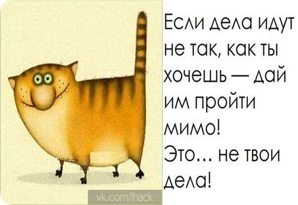 Афоризм не твое дело Афоризм не твое дело