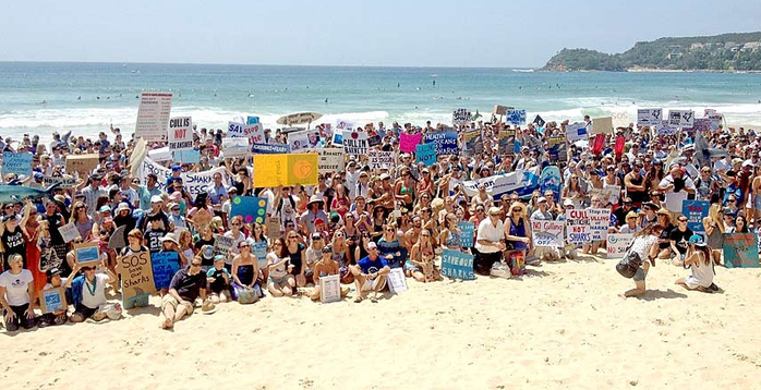 Митинг против отбора акул в Австралии