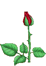 0_40cda_2537a87f_S (91x131, 20Kb)