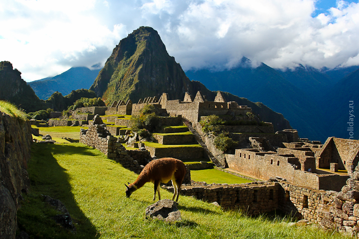 machu_pikchu_peru_700-71 (700x467, 440Kb)